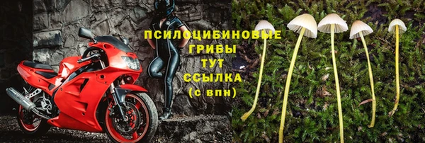 МДПВ Нея