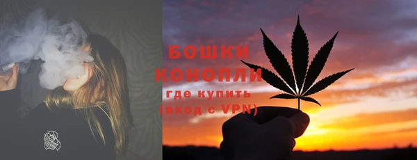 МДПВ Нея