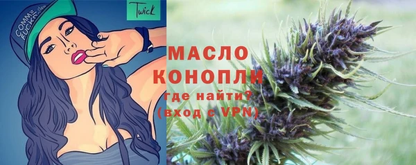 дмт Новодвинск