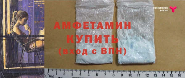 МДПВ Нея